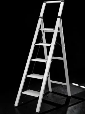 Veloravine 5-Step Folding Ladder, Aluminum Step Stool with Handrails, 330LBS Capacity, 63.4 Inch Tall, Silver